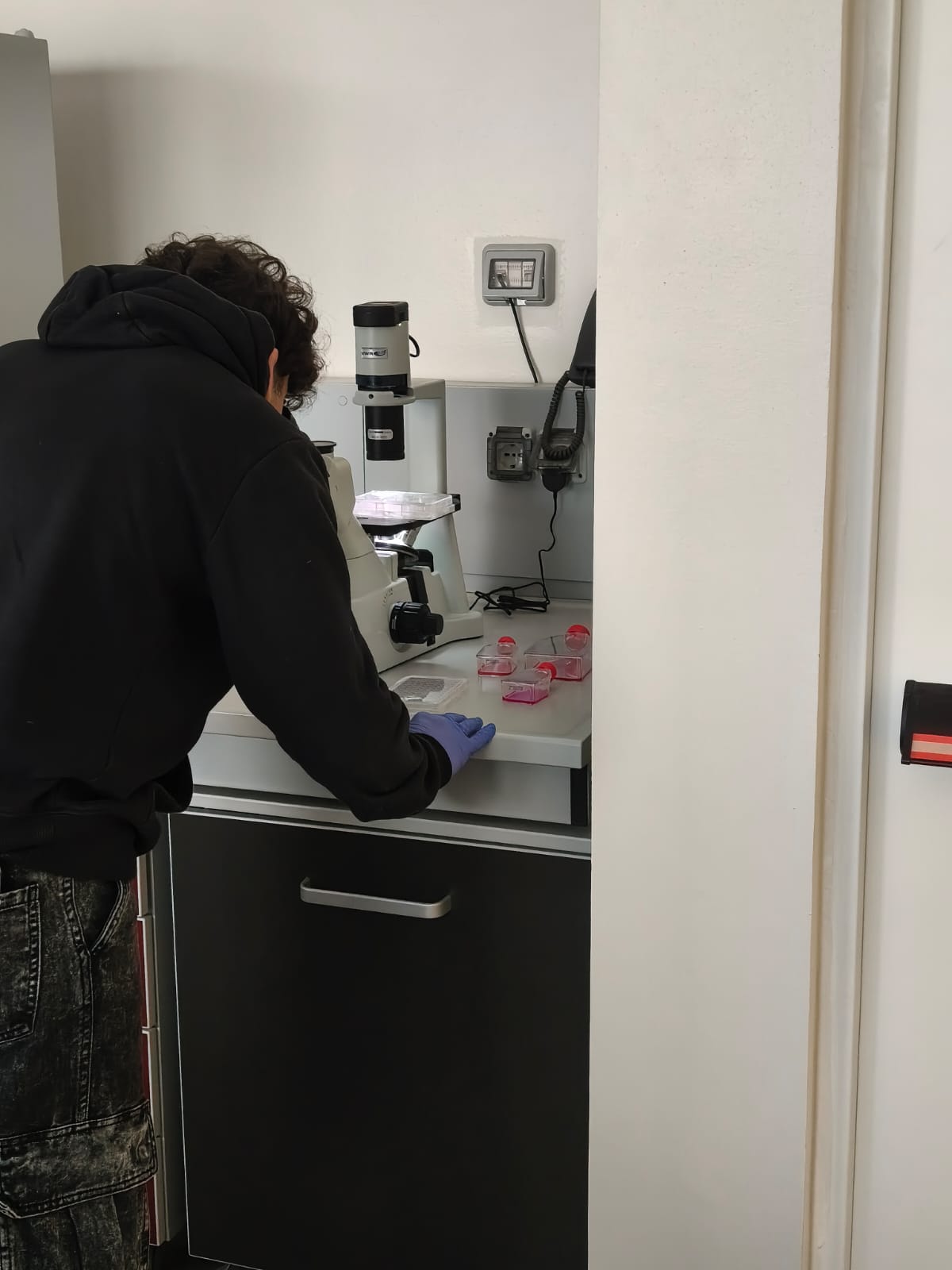 "Molecole per la salute: dall’alimento al farmaco" 10 febbraio 2026