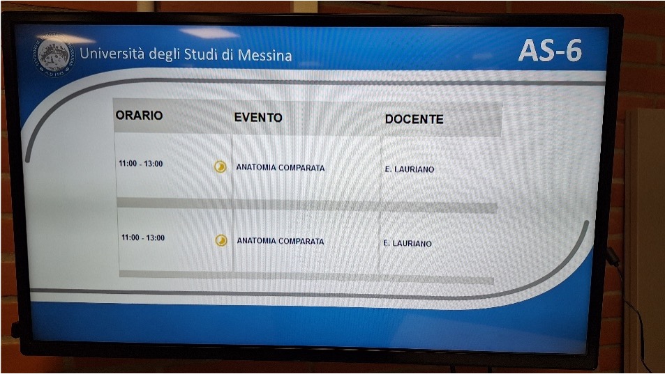 monitor applicazione orari