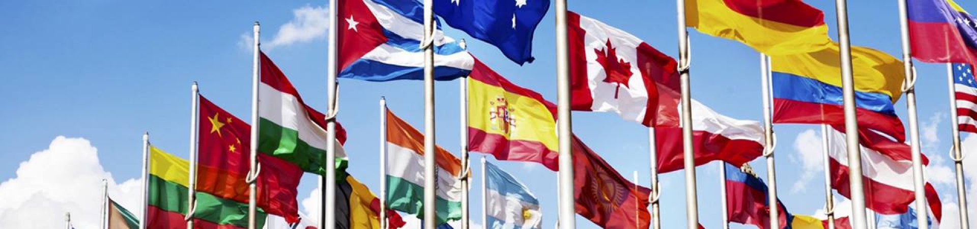 bandiere nazioni unione europea