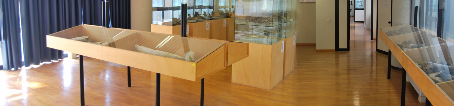 Museo della Fauna