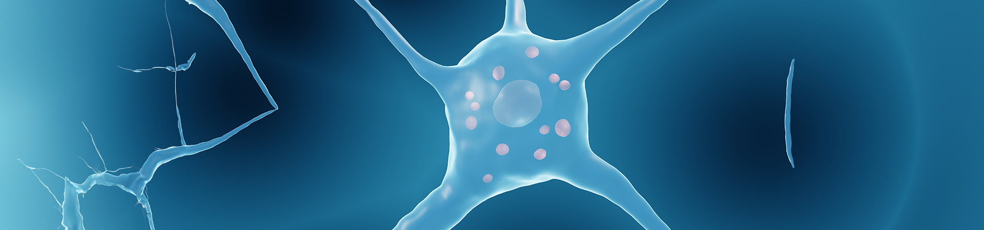 neuroni