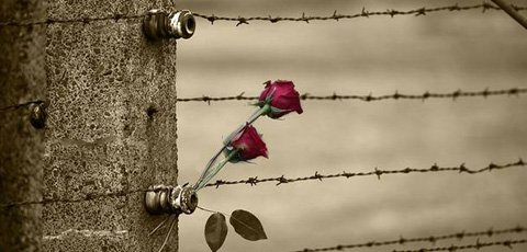 giornata della memoria