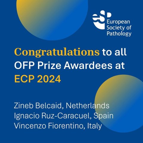 36° Congresso Europeo di Anatomia Patologica, ricercatore UniMe insignito del terzo premio per le migliori comunicazioni orali presentate all'ECP 2024