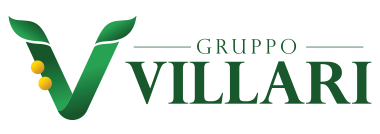 Gruppo Villari