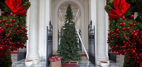 "Quest’anno l’albero di Natale decoriamolo insieme", l’invito della Rettrice agli studenti