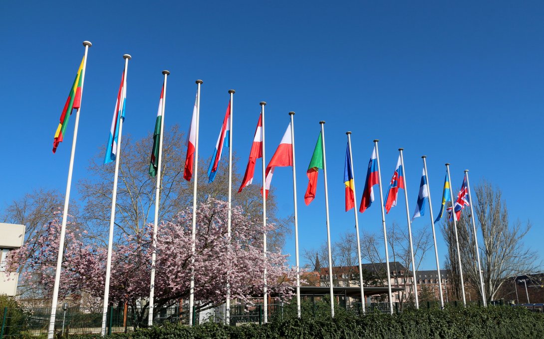 Istituzioni parlamentari